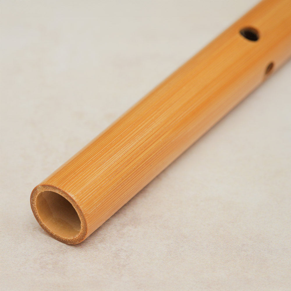 Close-up of the bottom hole on a Chinese bamboo flute tuned to D.