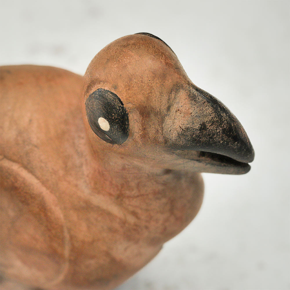 Close-up of the face of a handcrafted wooden dodo bird whistle, a folk art sculpture inspired by the native bird of Mauritius.