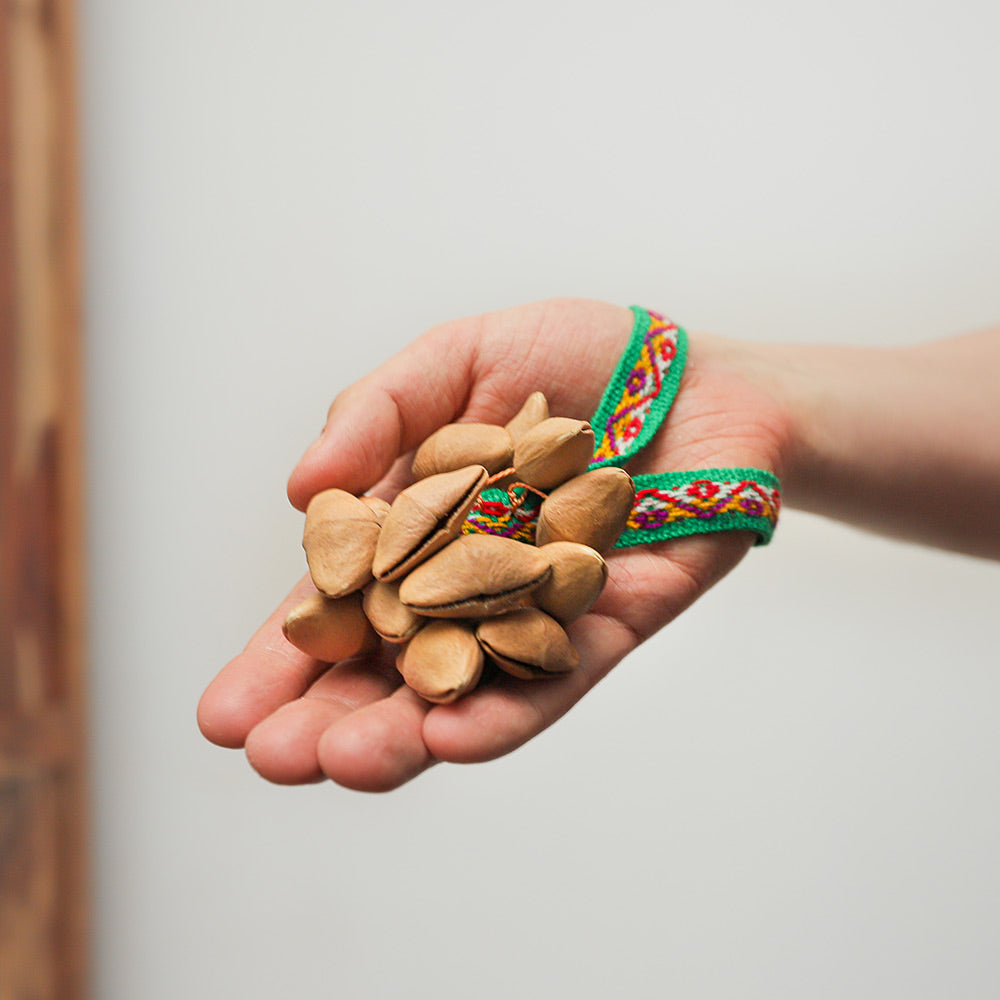 Close-up of the Lima nut ribbon shaker held in hand to show scale, highlighting the natural seed design.