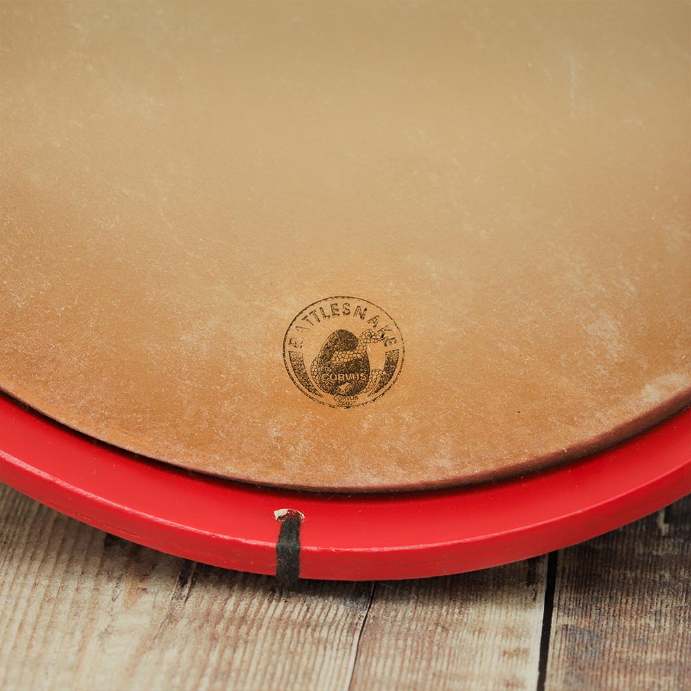 Close-up of the Rattlesnake Corvus logo printed on a red marching drum.