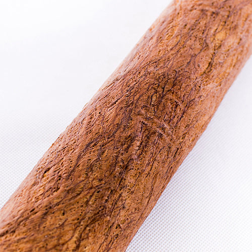 close up bamboo bark