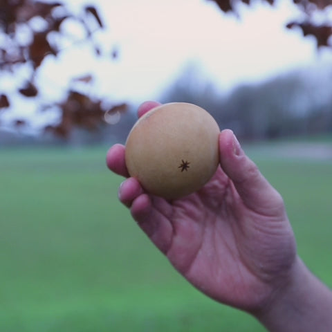 Coco Gourd Shaker Sound Demonstration