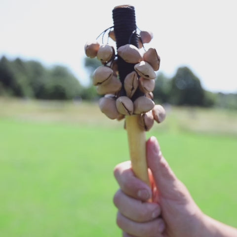 Kenari seed rattle shaker with wooden handle sound demonstration